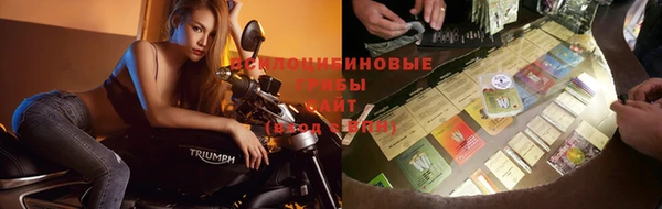 гидропоника Кукмор