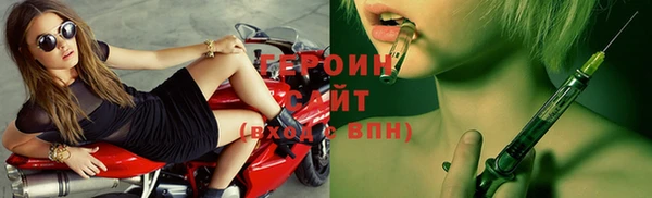 прущие грибы Новозыбков