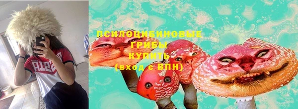 гидропоника Кукмор